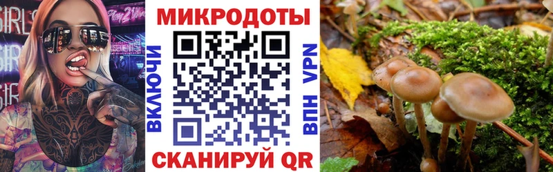 Галлюциногенные грибы мицелий  сайты даркнета как зайти  Богородицк  купить наркотик 