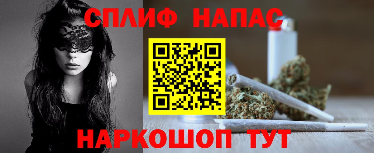Богородицк  Конопля сатива  Вход с VPN  Бошки Шишки ГИДРОПОН 